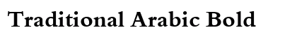 Traditional Arabic Bold preview