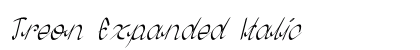 Treon Expanded Italic Preview