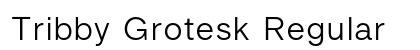 Tribby Grotesk Regular Preview