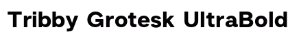 Tribby Grotesk UltraBold Regular preview