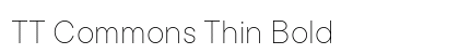 TT Commons Thin Bold preview