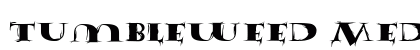 Tumbleweed Medium preview