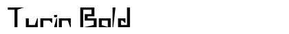 Turin Bold preview