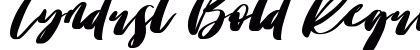 Tyndust Bold Regular preview