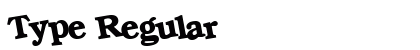 Type Regular Preview
