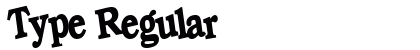 Type Regular Preview