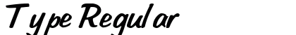 Type Regular Preview