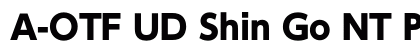 A-OTF UD Shin Go NT Pr6N H Preview