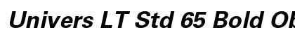 Univers LT Std 65 Bold Oblique Preview