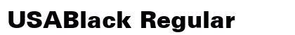 USABlack Regular preview