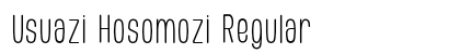 Usuazi Hosomozi Regular preview