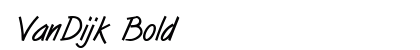 VanDijk Bold preview