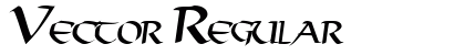 Vector Regular Preview