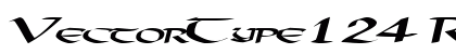 VectorType124 Regular Preview