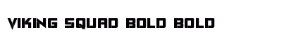 Viking Squad Bold Bold preview
