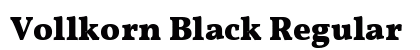Vollkorn Black Regular preview