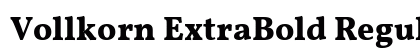 Vollkorn ExtraBold Regular preview