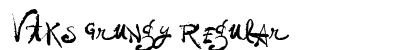 Vtks Grungy Regular preview