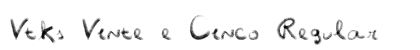 Vtks Vinte e Cinco Regular preview