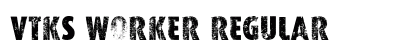 VTKS WORKER Regular preview