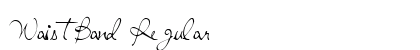 WaistBand Regular Preview