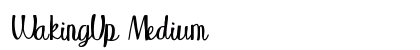 WakingUp Medium preview
