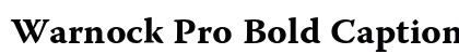 Warnock Pro Bold Caption Preview