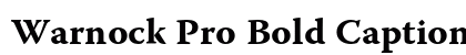 Warnock Pro Bold Caption Preview