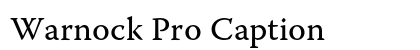 Warnock Pro Caption preview