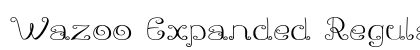 Wazoo Expanded Regular Preview