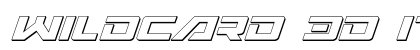 Wildcard 3D Italic Italic preview