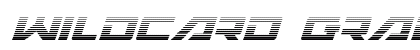 Wildcard Gradient Italic Italic preview