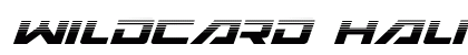 Wildcard Halftone Italic Italic preview