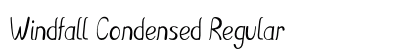 Windfall Condensed Regular Preview