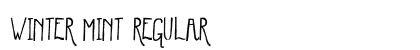 Winter Mint Regular preview