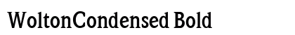 WoltonCondensed Bold preview