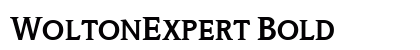 WoltonExpert Bold preview