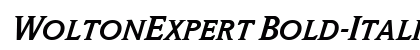 WoltonExpert Bold-Italic Preview