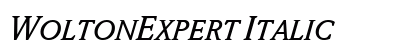 WoltonExpert Italic Preview