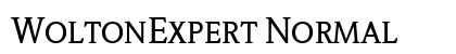 WoltonExpert Normal Preview