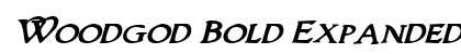 Woodgod Bold Expanded Italic Bold Expanded Italic preview