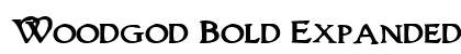 Woodgod Bold Expanded Bold Expanded preview
