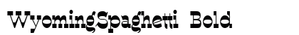 WyomingSpaghetti Bold preview