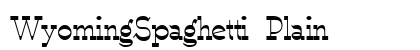 WyomingSpaghetti Plain Preview