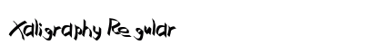 Xaligraphy Regular Preview