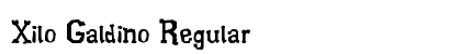 Xilo Galdino Regular preview