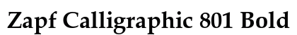 Zapf Calligraphic 801 Bold Preview