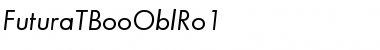 Download FuturaTBooOblRo1 Font