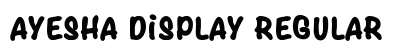 Ayesha Display Regular preview