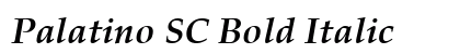 Palatino SC Bold Italic preview